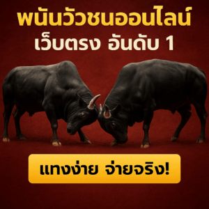 พนันวัวชนออนไลน์ เว็บตรง อันดับ 1