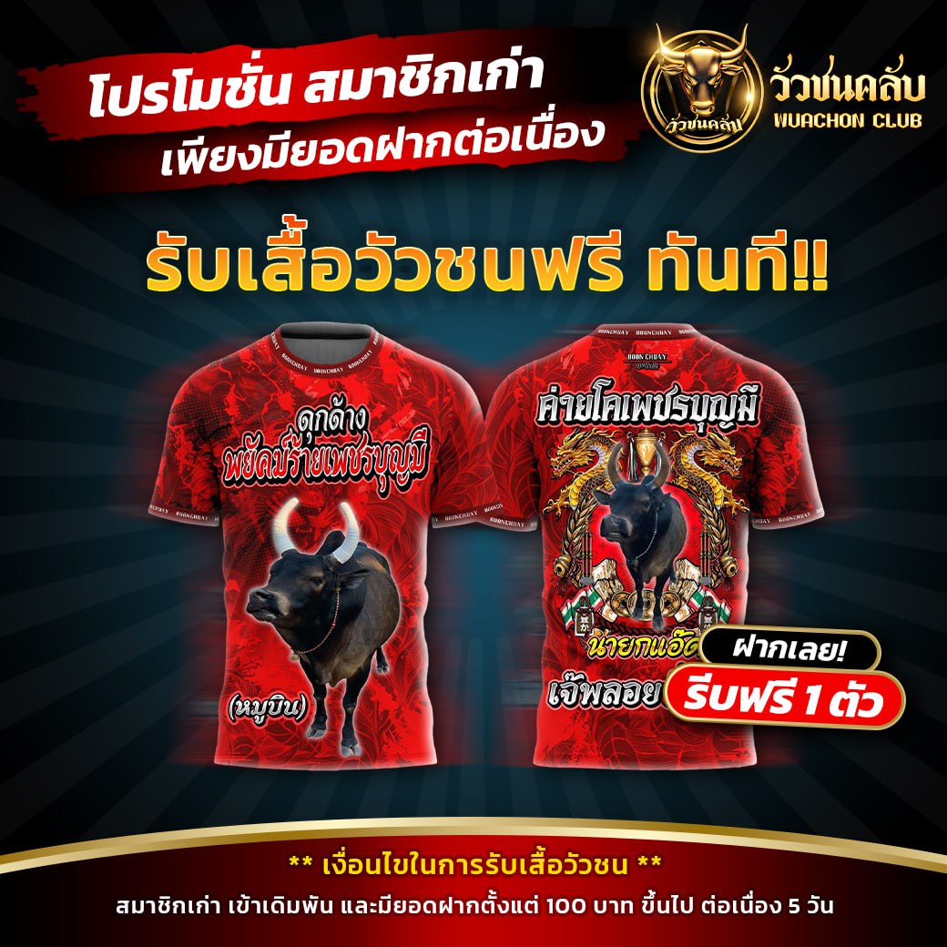 วัวชนออนไลน์