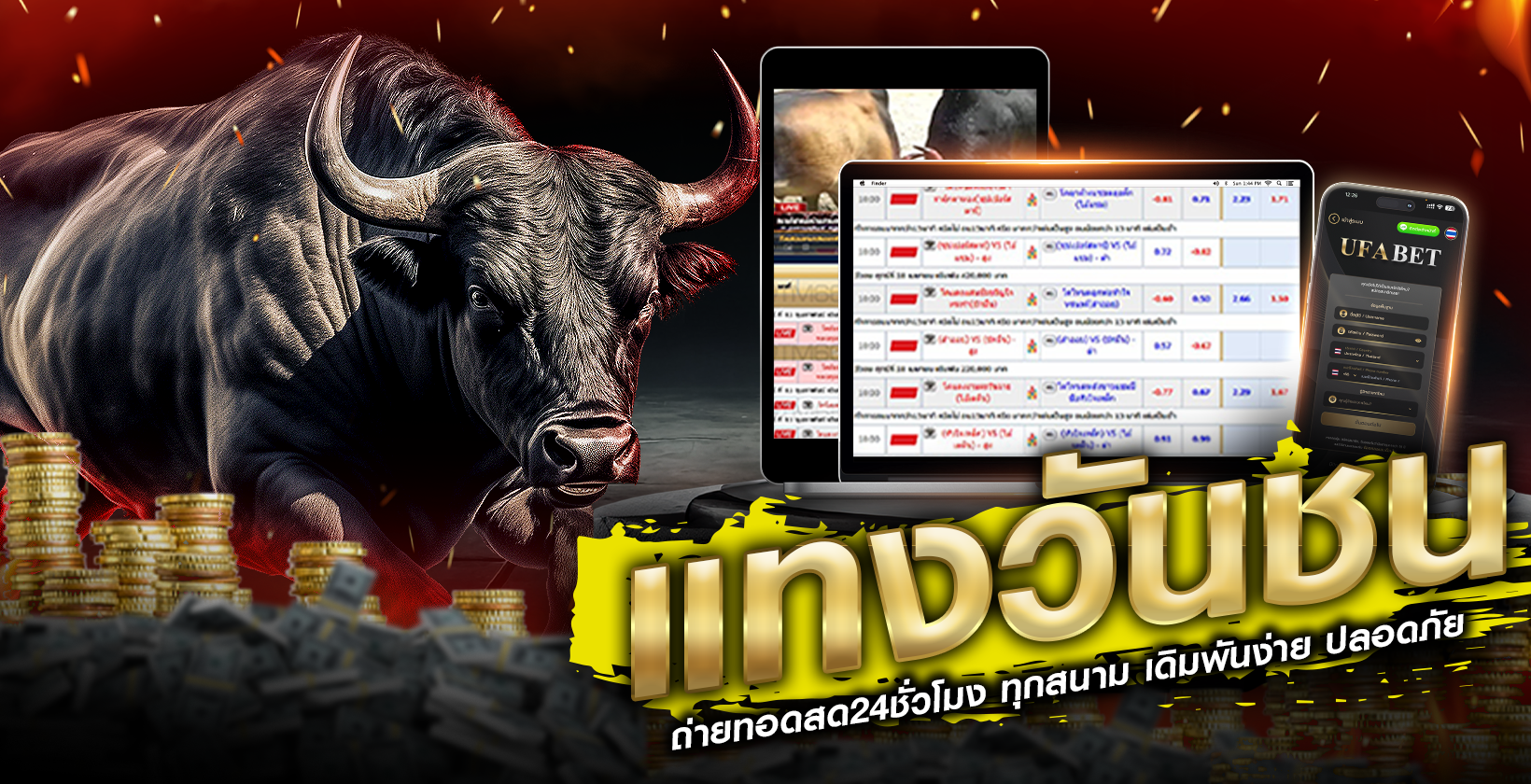 แทงวัวชน