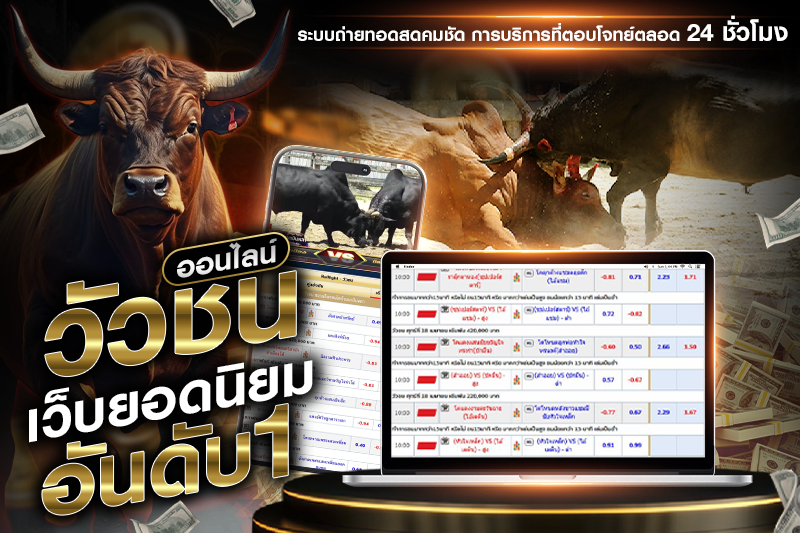 วัวชนออนไลน์เว็บยอดนิยมอันดับ1