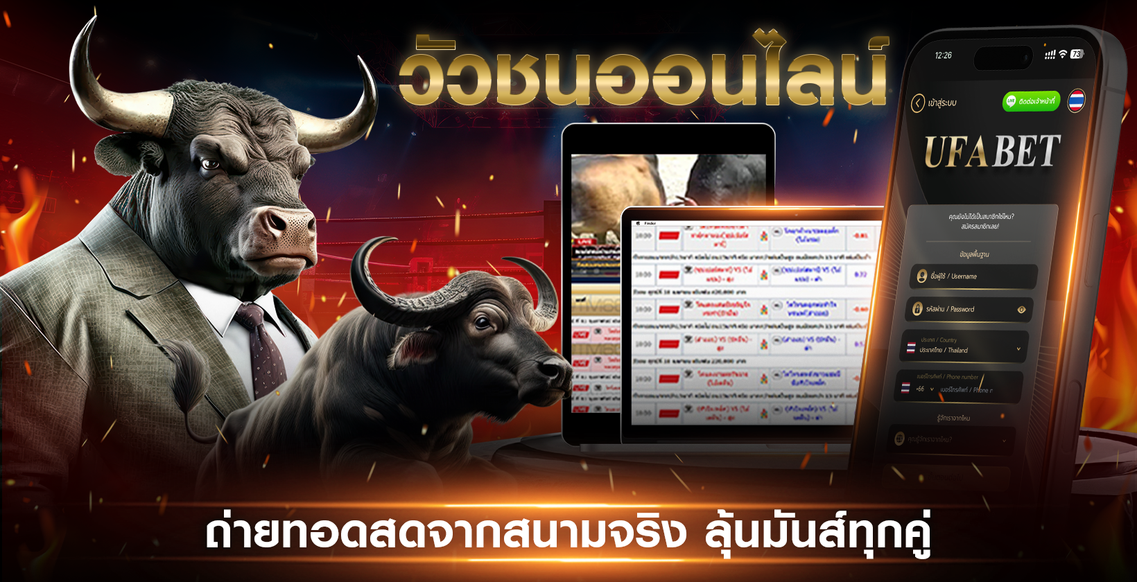 แทงวัวชน-ออนไลน์-2025