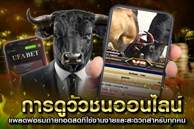 วิธีดูวัวชนออนไลน์