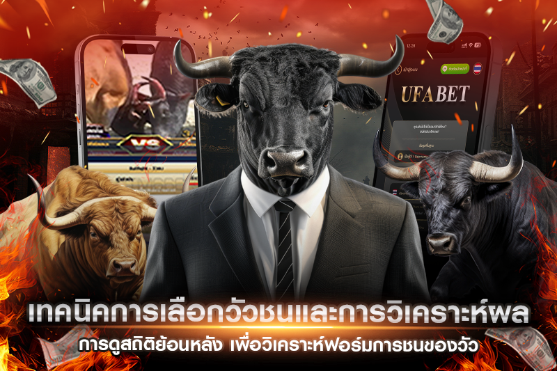 เทคนิคการเลือกวัวชนและการวิเคราะห์ผล