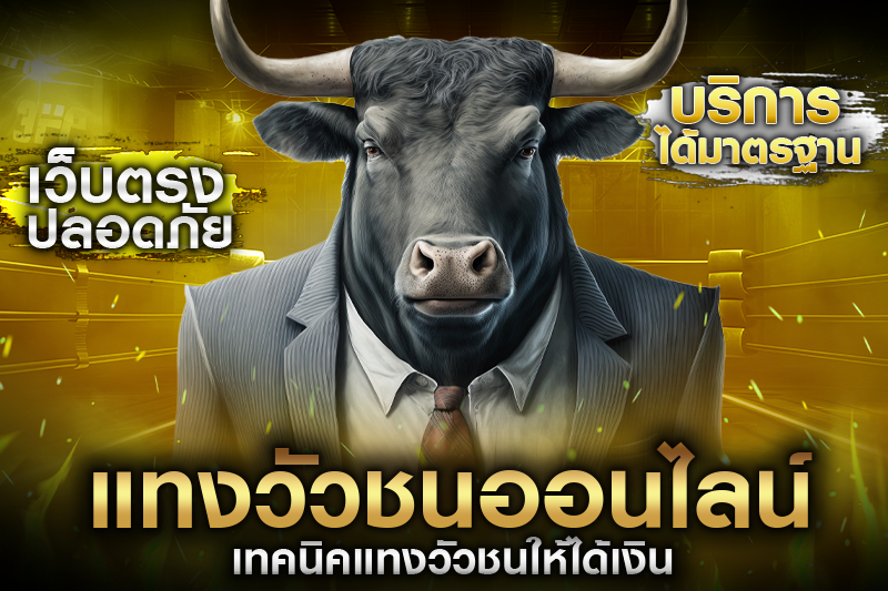 เทคนิคแทงวัวชนให้ได้เงิน